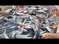 Download Lagu Kebahagiaan dan Keceriaan Keluarga Nelayan Dengan Tangkapan Ikan Sebanyak Ini 