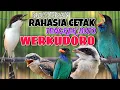Download Lagu MASTERAN CENDET RAHASIA CETAK TENGKEK BUTO WERKUDORO PANJANG KEKINIAN