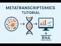 Metatranscriptomics tutorial Part