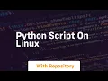 python script on linux