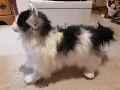 Chilly Stuffed Animal - Petsies