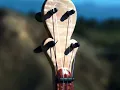 High on a Mountain by Ola Belle Reed played on a mountain on gourd banjo