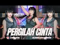 Download Lagu FUNKOT - PERGILAH CINTA ( NEW VERSION ) || PERGILAH KAU PERGI DARI HIDUPKU || BY DJ ANEZKA