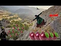 Download Lagu Picking 🫐⛰️Wild Plums in the Zagros Mountains| A Nomad Girl's Heartfelt Giftto Her Family