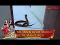 Siluman Ular Masuk Ke Rumah Juned - Fatih di Kampung Jawara Eps 363