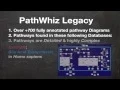 PathWhiz Pt 1 Tutorial An Introduction to Pathways