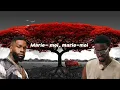 Dadju & Tayc -_- Épouse-moi (Lyrics Vidéo)