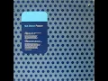 Gat Decor - Passion -  Do You Want It Right Now Mix - Way Of Life Recordings 1996