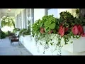 Window Box Update Garden Answer