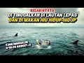 KISAH NYATA !! LIBURAN YANG BERUBAH MENJADI PERJUANGAN UNTUK BERTAHAN HIDUP | CERITA FILM