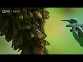 Watch a Breathtaking Monarch Butterfly Swarm