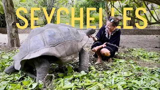 Island Life in the Seychelles | Tortoises, Bikes & Hidden Beaches | S5 E12