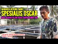 Download Lagu paling banyak dicari ! tempat jual ikan Oscar paling lengkap, murah dan mantap. gila dah