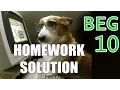 Homework 10 Beginner C Game Programming