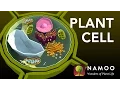 Biology with NAMOO Plant Cell Structure