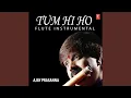 Download Lagu Tum Hi Ho - Flute Instrumental