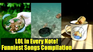🎹 Hilarious Melodies Unleashed: Cavendish Music's Funny Song  | Ultimate Laugh-Out-Loud Playlist 🎶