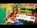 DJ Cidro 2 (DJ Dangdut NCP)