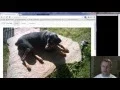 Bootstrap Tutorial How to Create a Slideshow