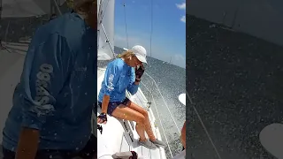 #sailing #racing #water #fun