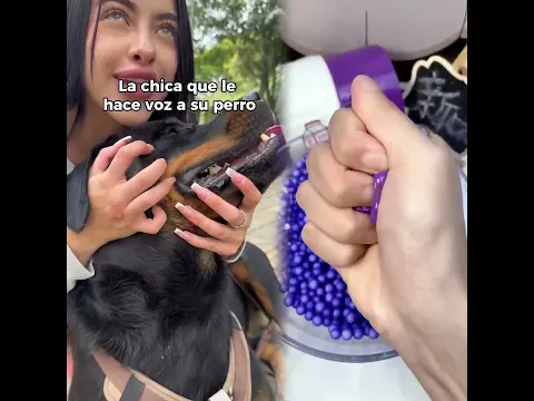 What's your dog's name #laurasofia #humor #content #comedy