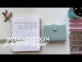 Week 1 Check In July 2026 Budget Inconsistent Income College Student 26 Year Old