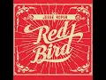 Anytime of Night - Jesse Roper
