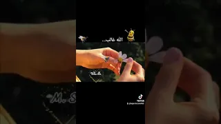 الله غالب ذكرى 