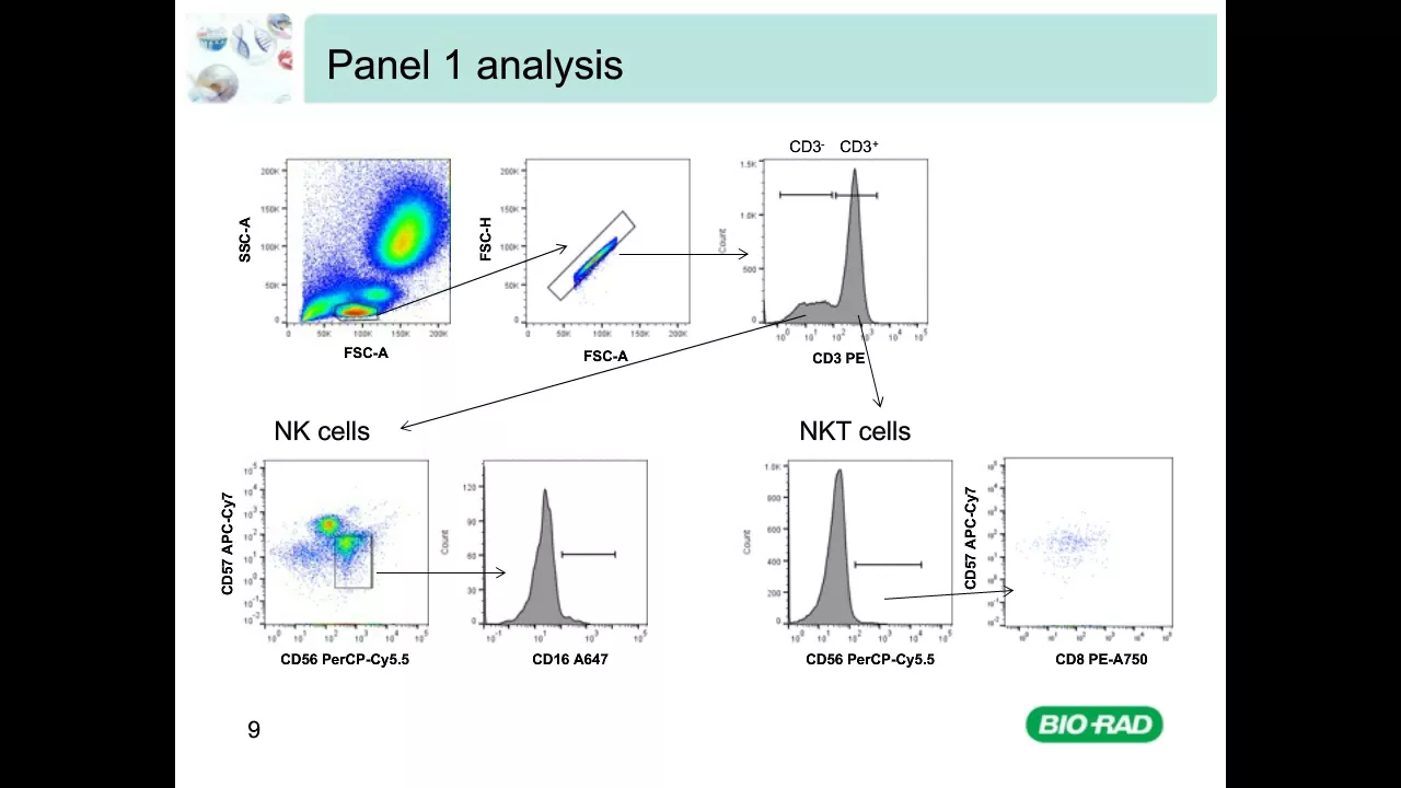 Multicolor Panel Building in Flow Cytometry