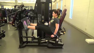 Cybex Eagle Leg Press