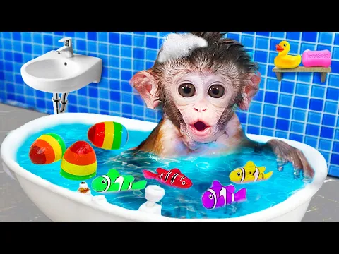 Download MP3 Monkey Baby Bon Bon opens surprise colorful eggs nemo fish with ducklings at the pool | Kudo maymun