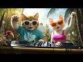 Tropisch Huis Junglefeest 🌴🐾 | DJ MIAWW x White Cat Babe in het Regenwoud