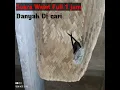 Download Lagu Suara Walet Full 1 Jam || th 2020 Sampai 1 juta view