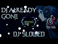 DJ Already Gone Slowed