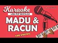 Download Lagu Karaoke MADU DAN RACUN - Arie Wibowo // Music By Lanno Mbauth