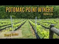 Potomac Point Winery - VA Winery review 2023