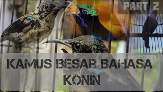 big dictionary of konin language part 2 