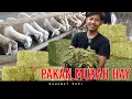 Download Lagu PAKAN MURAH HAY BIAYA 20 RIBU SEHARI UNTUK 70 EKOR DOMBA KURAWA FARM