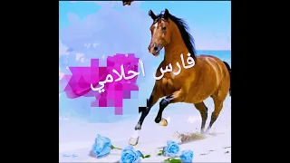 فارس احلامي توزيع جديد بدون موسيقي 