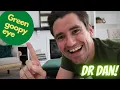 Green goopy eye discharge in dogs and cats