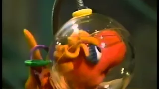 sesame street wanda the fish visits