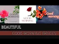 Beautiful good morning rose pictures
