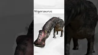 The Dinosaur Have 500 Teeth