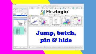 FlowLogic Tips - Jump batch pin and hide