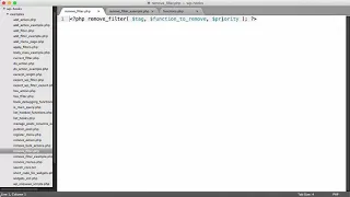 THE-WordPress-Hooks-Actions-and-Filters-S2-V3-720p-The remove - filter Function