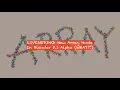 LIVENODING Blender 5 1 NEW ARRAY and CURVE