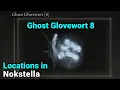 Ghost Glovewort 8 Locations x3 In Nokstella - Elden Ring