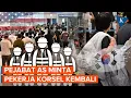 Download Lagu Tak Ada yang Bisa Gantikan Kerja, Pejabat AS Minta Pekerja Korsel Kembali