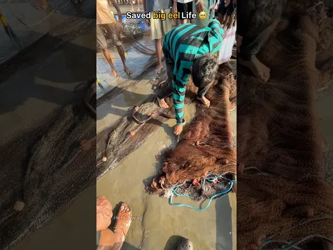 He was dying near net… but we didn’t give up 🥺