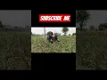 Download Lagu https://vt.tiktok.com/ZSBkpPkuM/Please subscribe